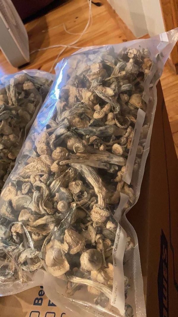 FUSION BARS 4 GRAMS MUSHROOMS