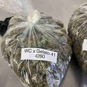 Gelato 41 [A+++] 100g - €660