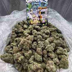 Guava[A+++] 500g - €2520 TG:Strainpiratedn